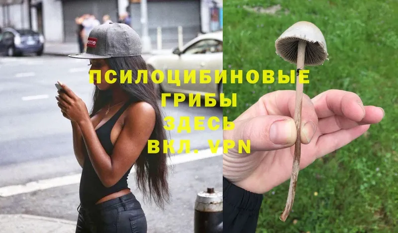 Псилоцибиновые грибы MAGIC MUSHROOMS  магазин    MEGA вход  Бугульма 